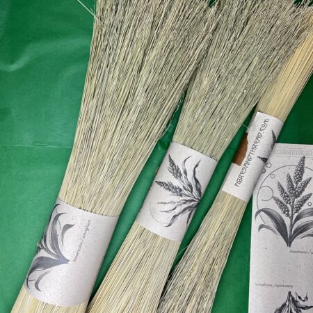 Mexican Broomcorn 55cm