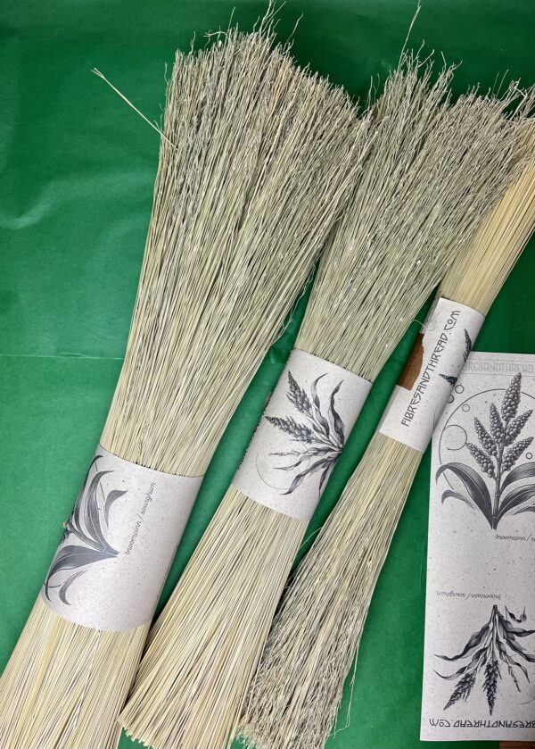 Mexican Broomcorn 55cm