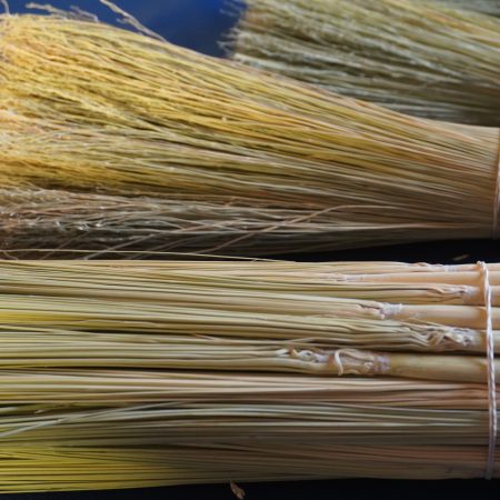 Craft Broomcorn (with stalks)