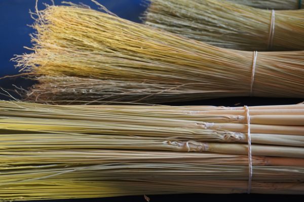 Craft Broomcorn (with stalks)