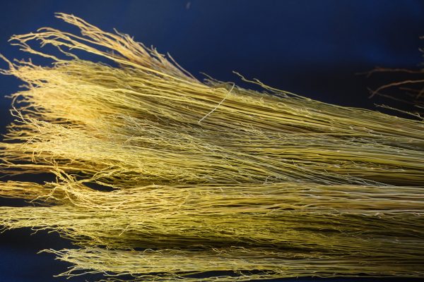 Craft Broomcorn (with stalks) - Image 5