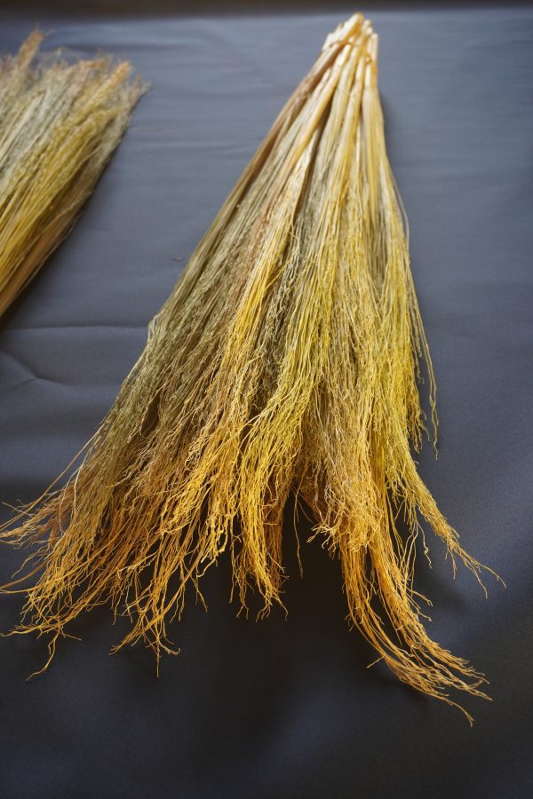 Craft Broomcorn (with stalks) - Image 3