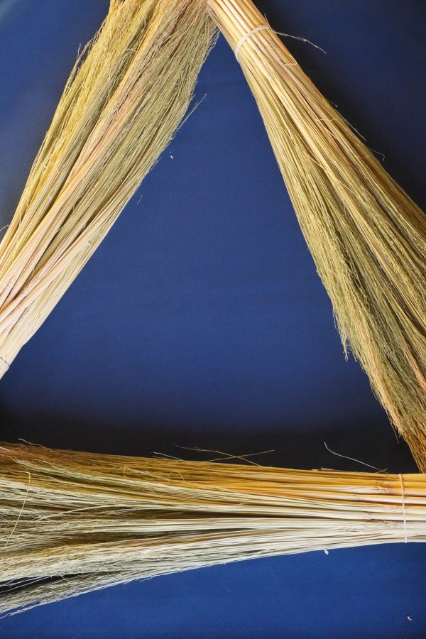 Craft Broomcorn (with stalks) - Image 4