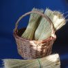 Mexican Broomcorn 370mm - Image 3