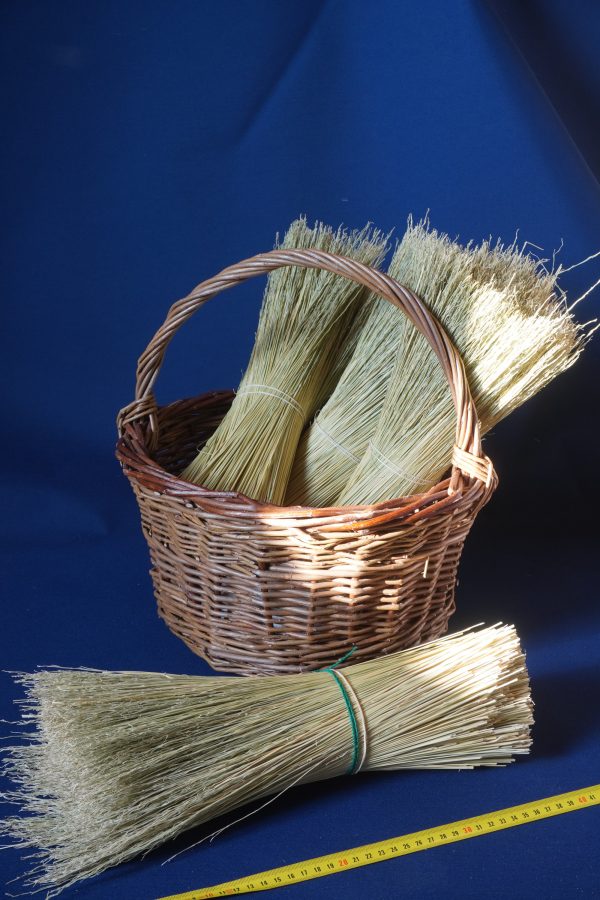 Mexican Broomcorn 55cm - Image 3