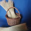 Mexican Broomcorn 370mm - Image 2
