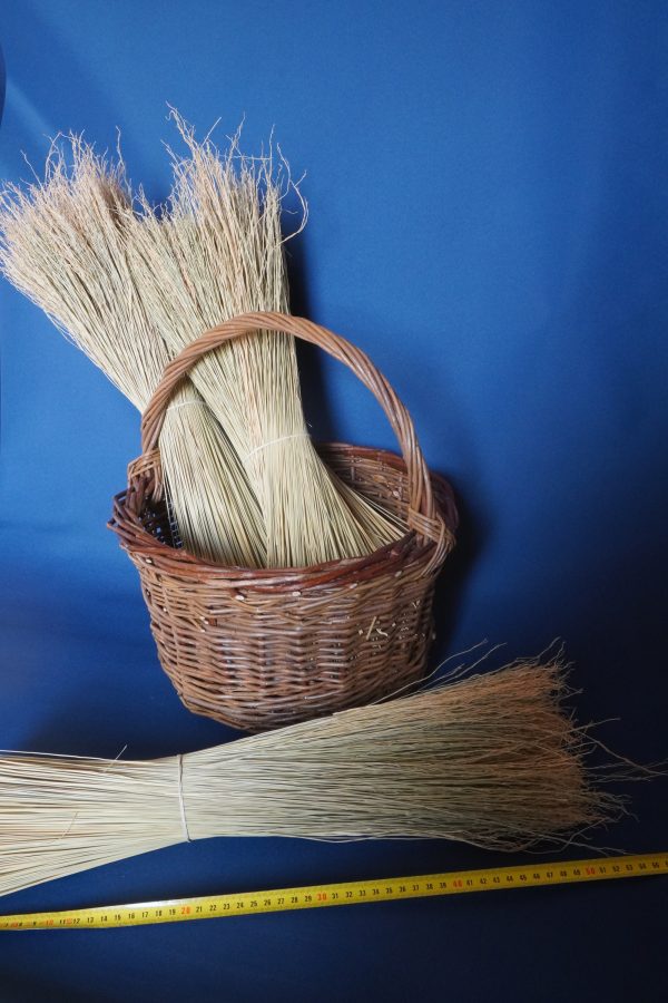 Mexican Broomcorn 55cm - Image 2