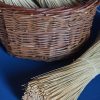 Mexican Broomcorn 370mm - Image 4