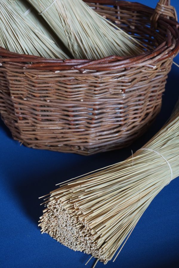 Mexican Broomcorn 55cm - Image 4