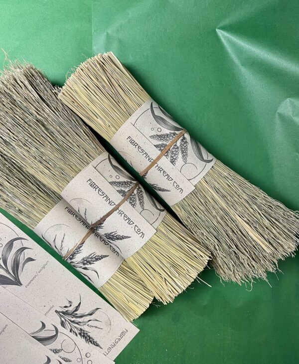 Mexican Broomcorn 370mm